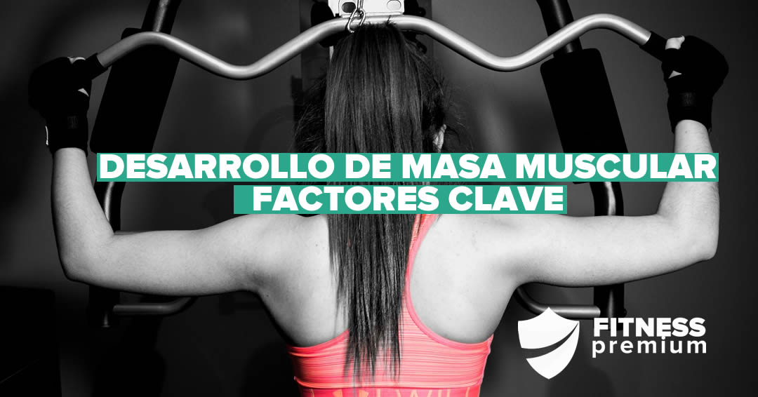 Desarrollar masa muscular: factores clave.